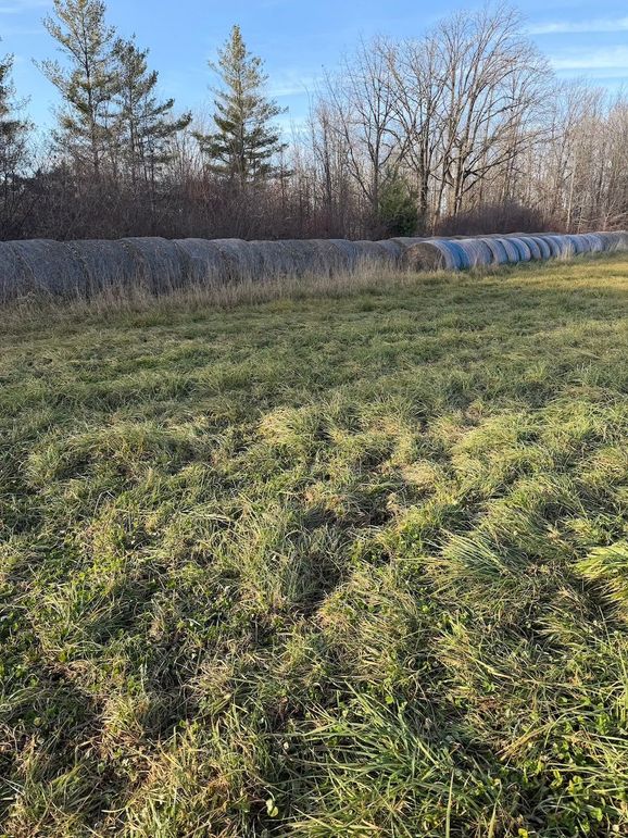 35E3C3E4-ABC4-45EE-B7BE-1442B3C57349