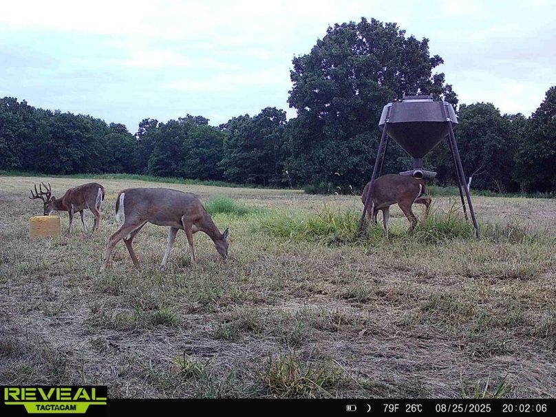 865814048168262-40-2-08252025200206-HD-W1001203