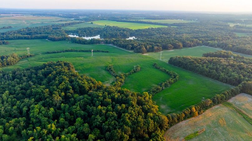 Copy of DJI_20250808064245_0073_D Large