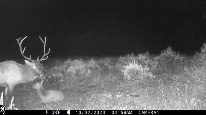 IMG_0018 - frame at 0m8s