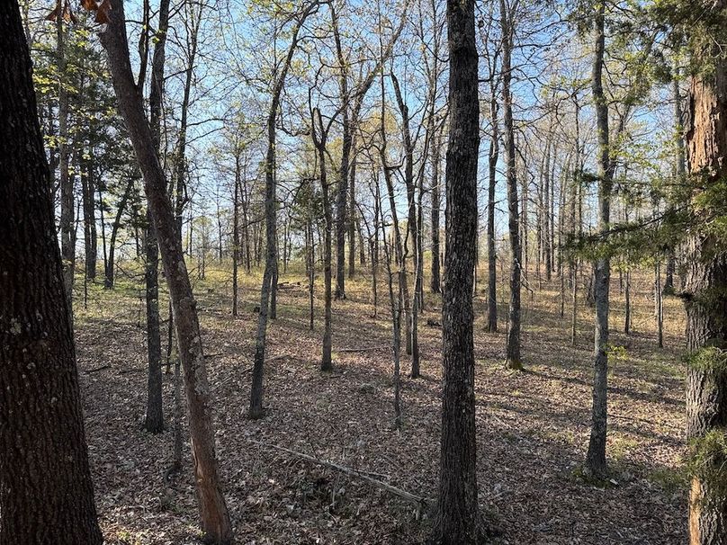 DJI_20260409_091228_091