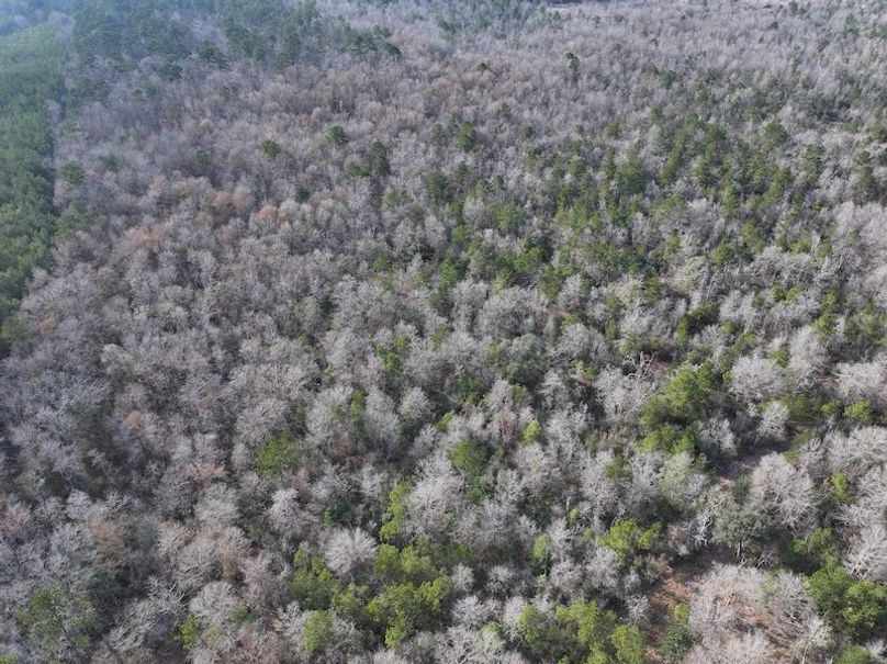 dji_fly_20260212_141132_0066_1771284239852_photo