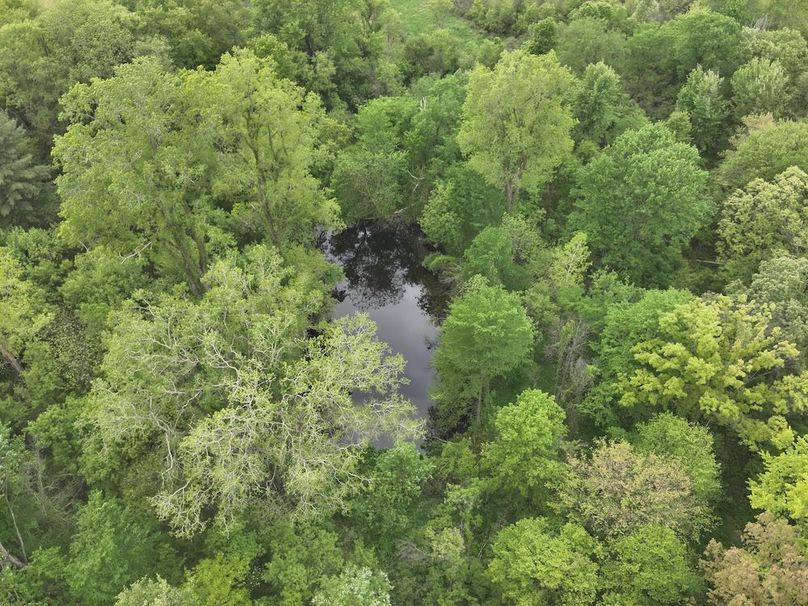 DJI_20250520063831_0011_V