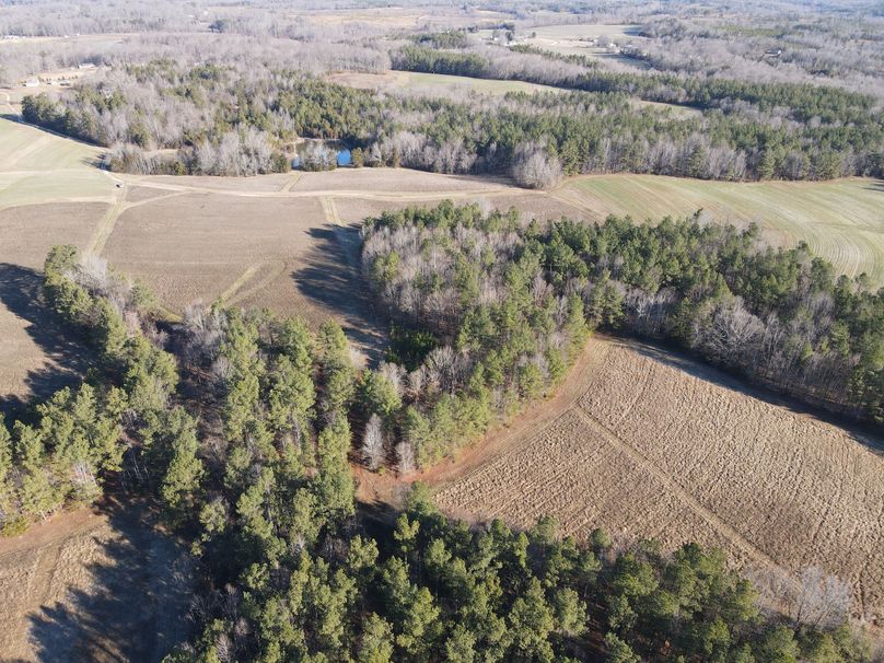 DJI_0834