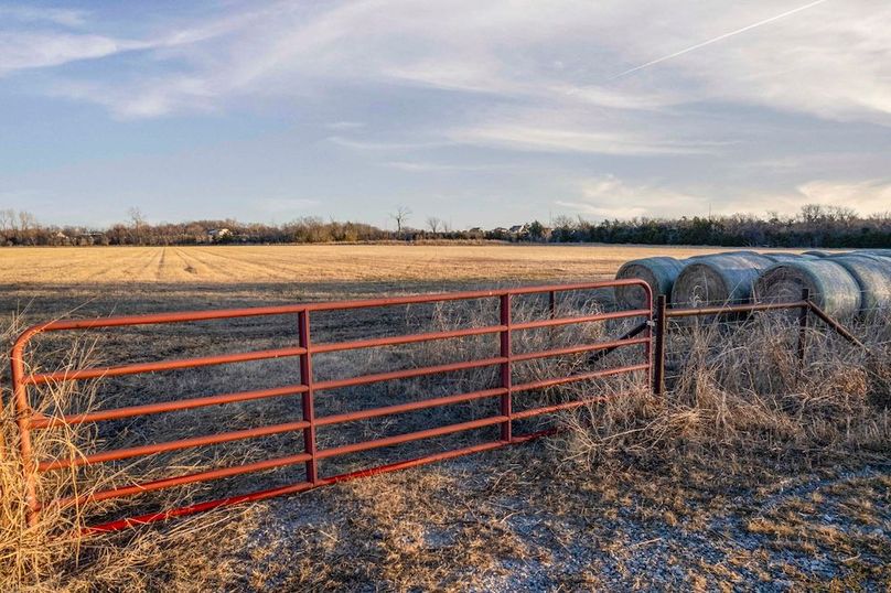 Collin County- 10 acres (Anna) (14 of 15)