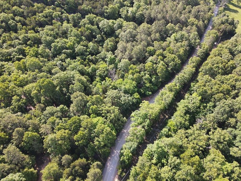 dji_fly_20260514_093012_785_1778769100719_photo