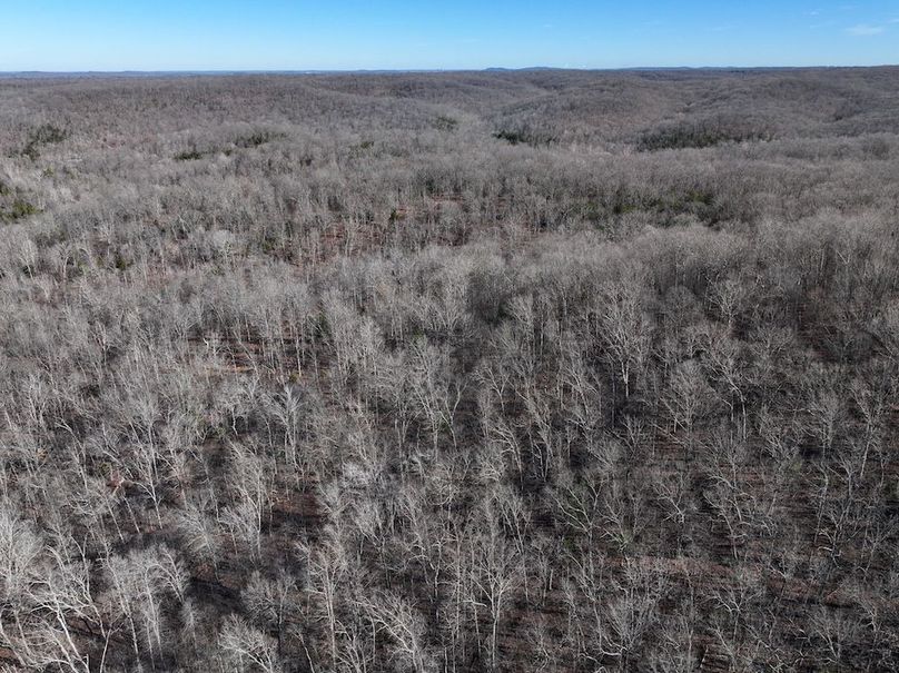 DJI_20251219113843_0887_D