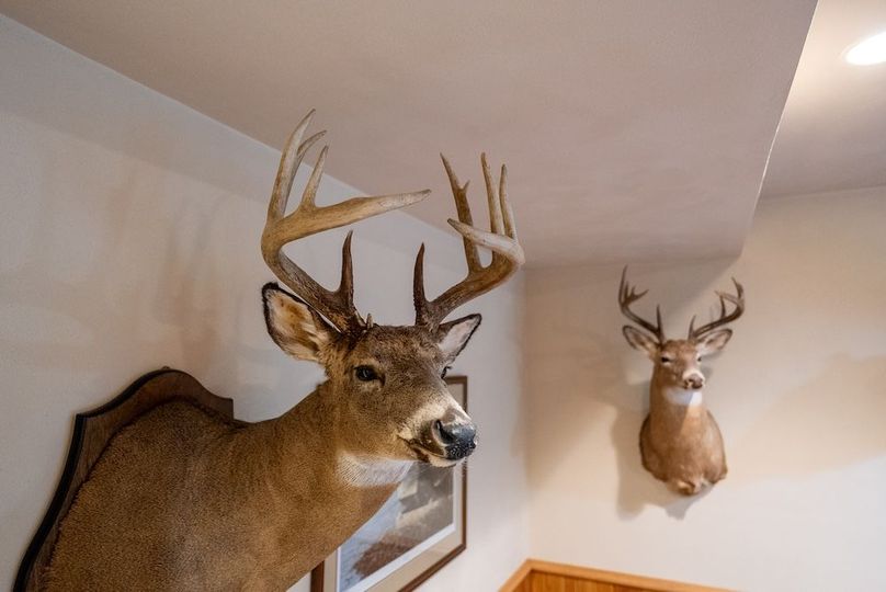 Ashland WI 523_Pro Photo-19