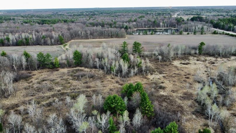 dji_fly_20240415_184720_120_1713225682094_photo_optimized 2