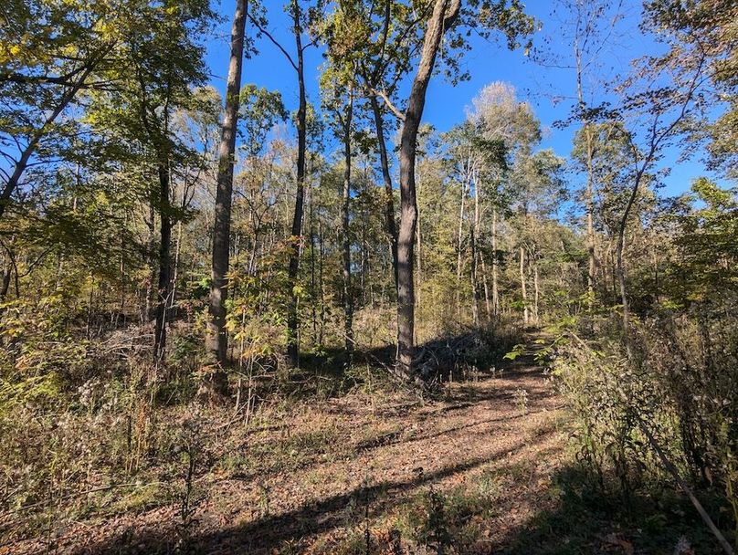 PXL_20251001_204629679