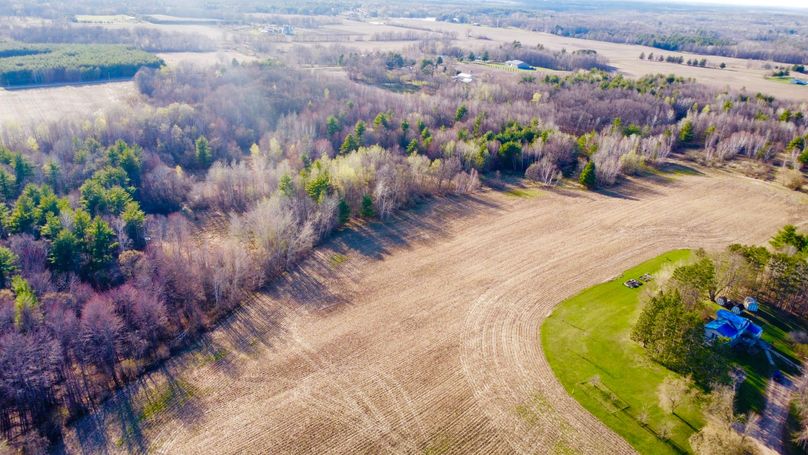 dji_fly_20230504_181926_709_1683242380806_photo_optimized