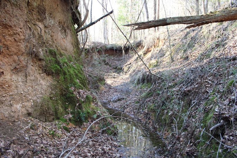 90115A5C-6FDD-4C6C-8302-D0012DD12F41_1_105_c