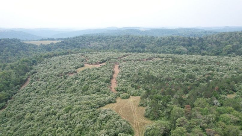 dji_fly_20250806_125928_555_1754499844568_photo