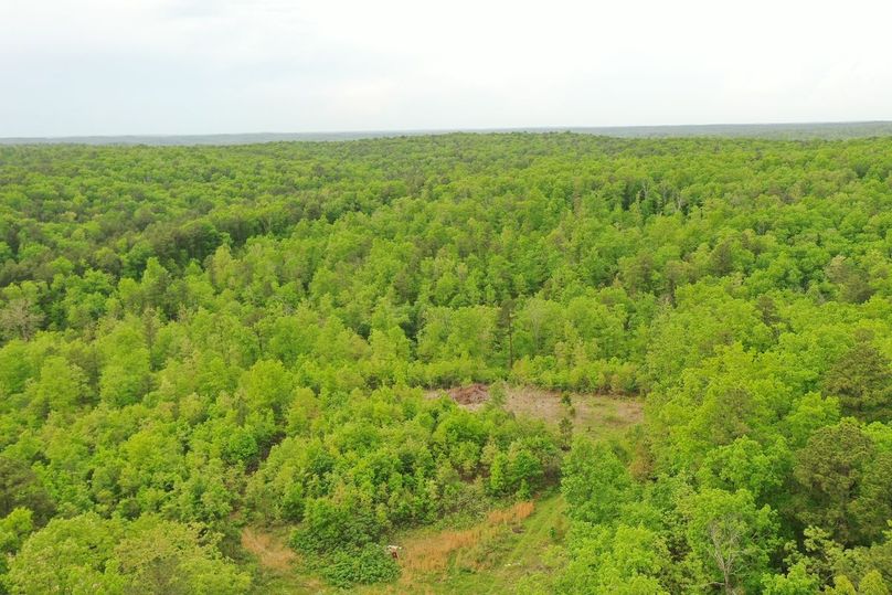 DJI_0806