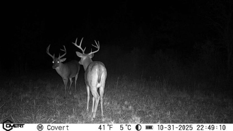 10_31_2025_22_49_10_3231829075