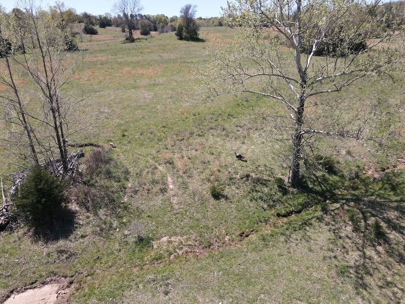 DJI_0228