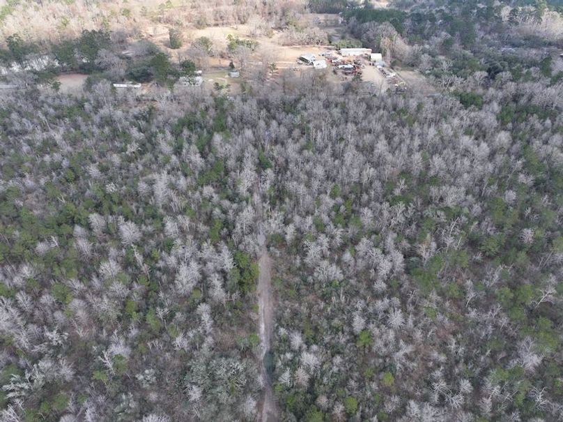 dji_fly_20260212_135730_0036_1771284249962_photo