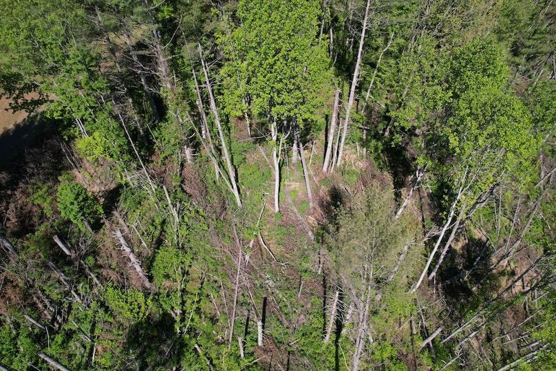 DJI_0013