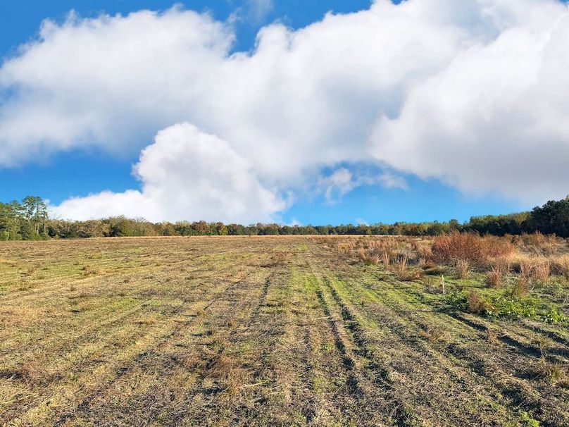 D234AAFF-43DA-406A-864F-E82FA6FD00AB