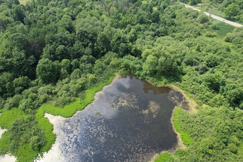 Oswego_13.95_Moore_Bush_Photos_15