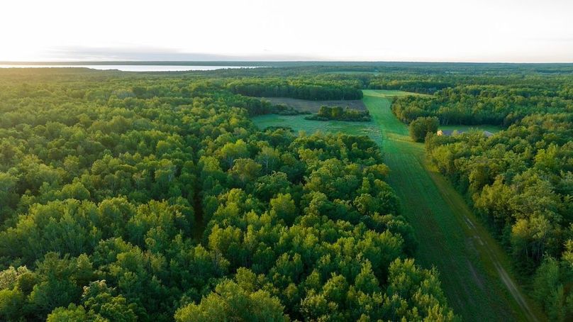 Cass MN 1095 Featured ProPhoto-59