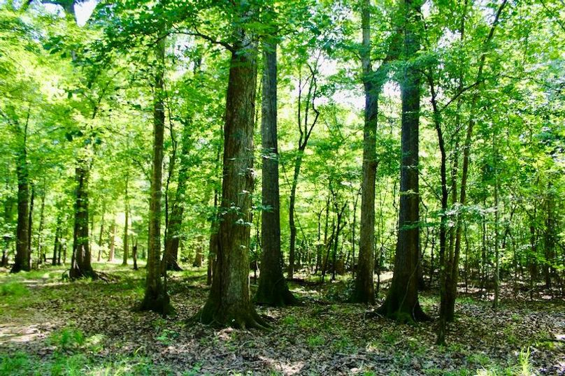 86B92DCD-A73B-492C-A0B7-8FD4AF78FD10_1_201_a