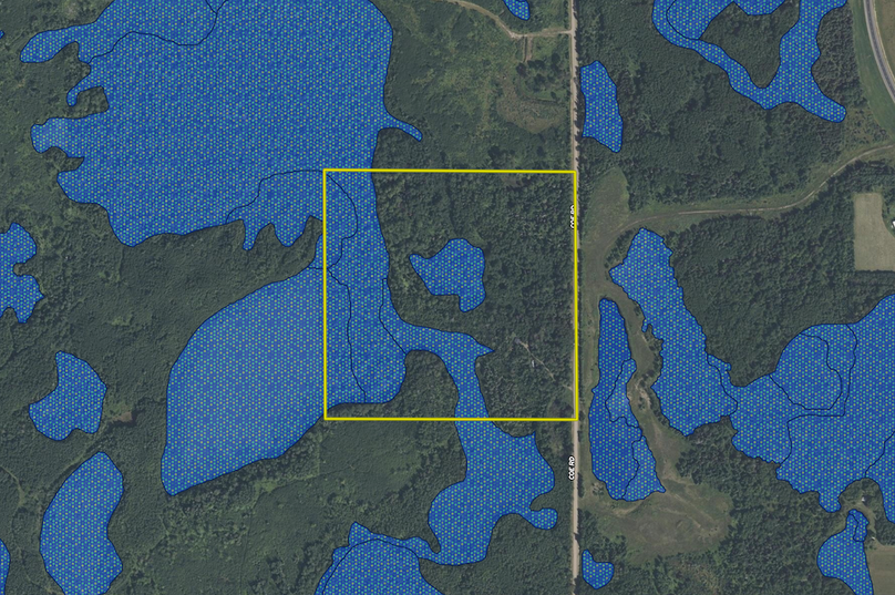 3707 Coe Rd. Wetland layer