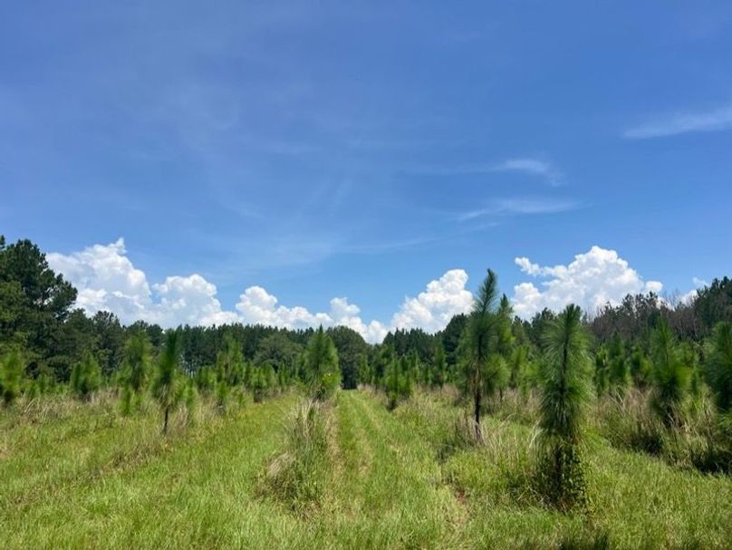 B29A9EDE-936A-48F2-9FFC-9759E84AF075_1_105_c