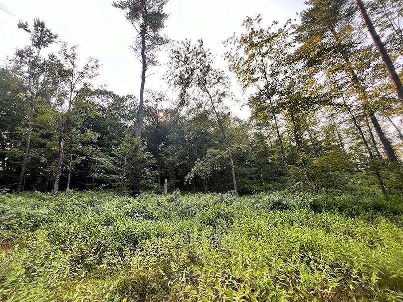 Oswego_615_Oswego_615_GingerichKurtz_Photos_4