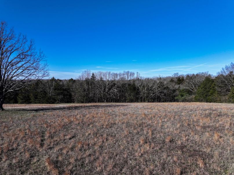 DJI_20260317093631_0984_D