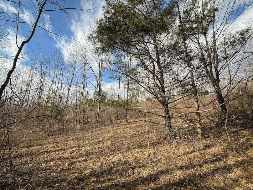 Chemung_59.65_Kocsis_photos_13