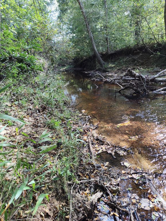 IMG_20231009_133114807