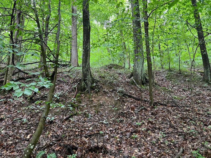 Wirt, WV 150.75 AC Tinnell-27