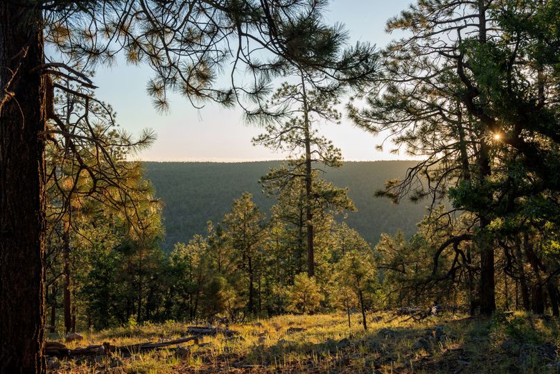 Cibola NM 13,053--120