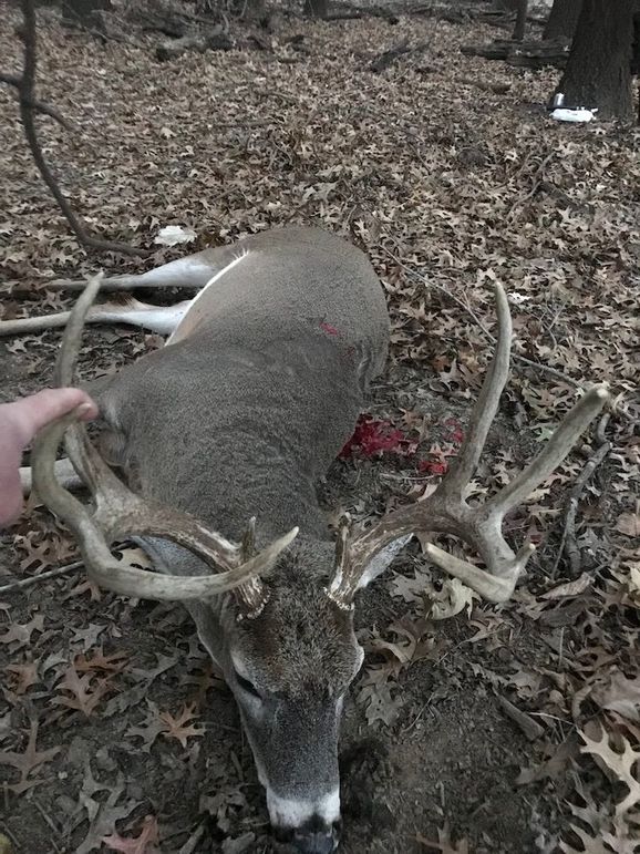 DDD9C601-F012-4201-AF4B-8E2618C1AB1C