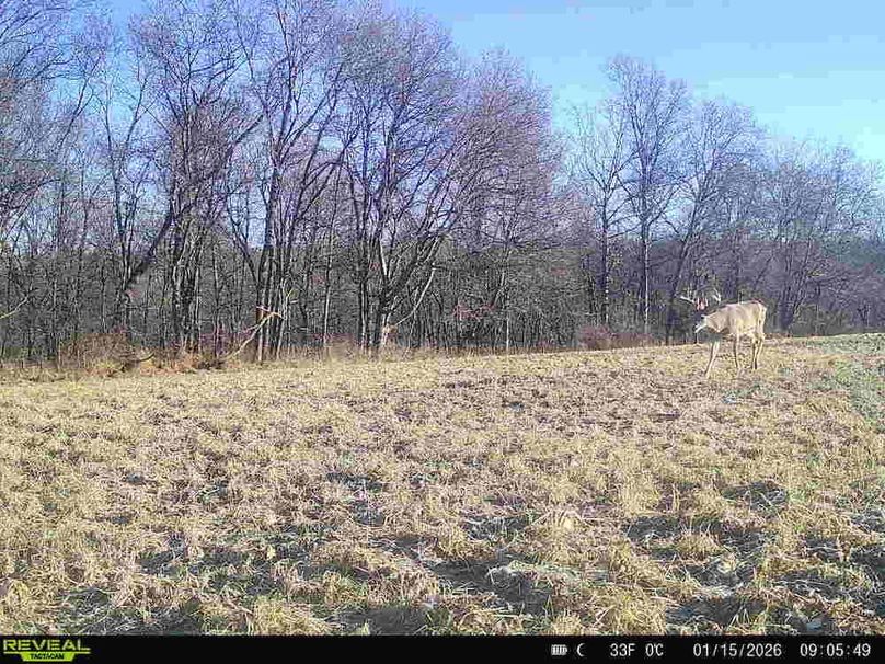 864049056613559-100-4-01152026120104-HD-SYFW8526