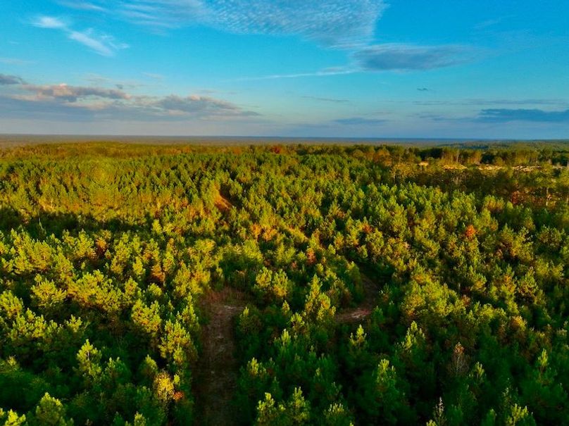 DF11025E-9F11-41CF-99E3-339D41D7ABCE_1_105_c