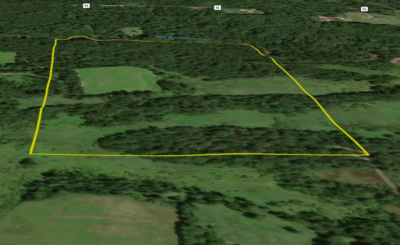 Screenshot 2025-09-12 at 11.03.47 AM