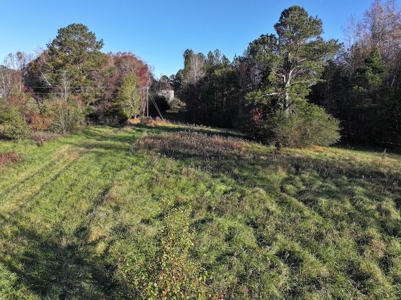 Copy of DJI_20241124091406_0234_D