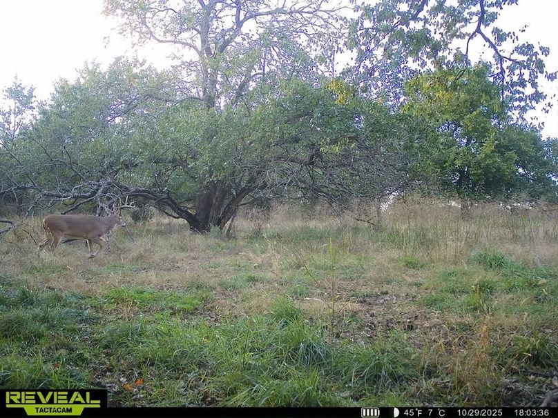 860322065943430-100-3-10302025223217-HD-SYEW8933