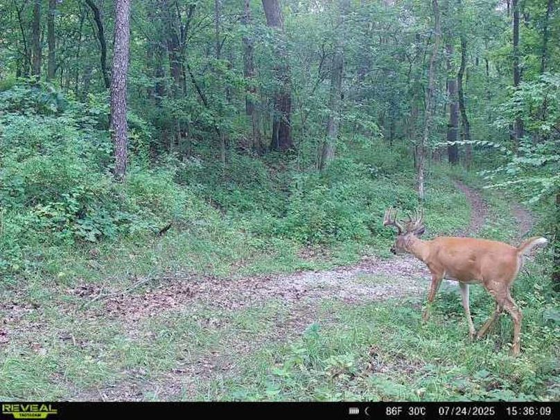 864049057708200-80-3-07242025153608-W1028594