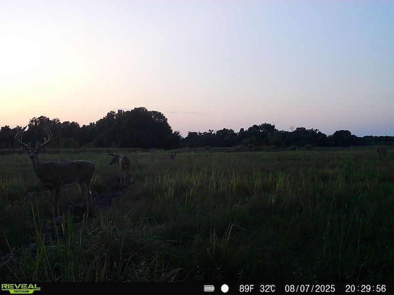 860516065020590-100-3-08072025204816-HD-SYFW6052