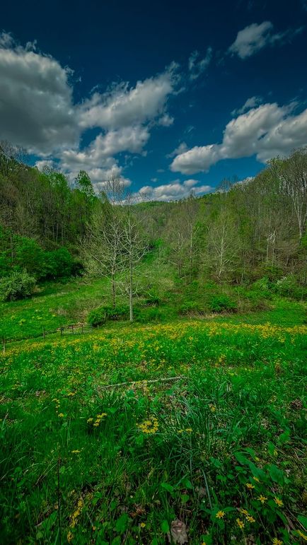 Doddridge, WV 64.69 AC Davis-28