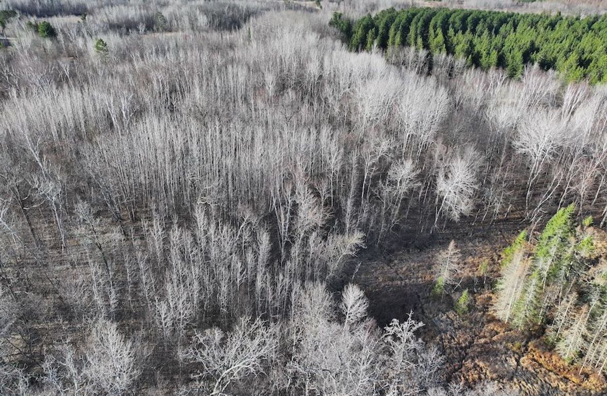 dji_fly_20250416_085846_0489_1744833048531_photo