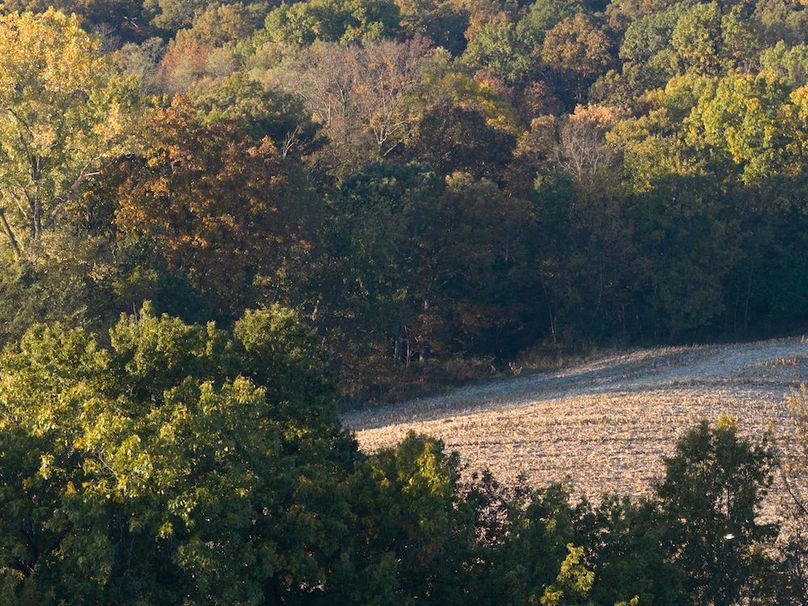 DJI_20251031082558_0249_D