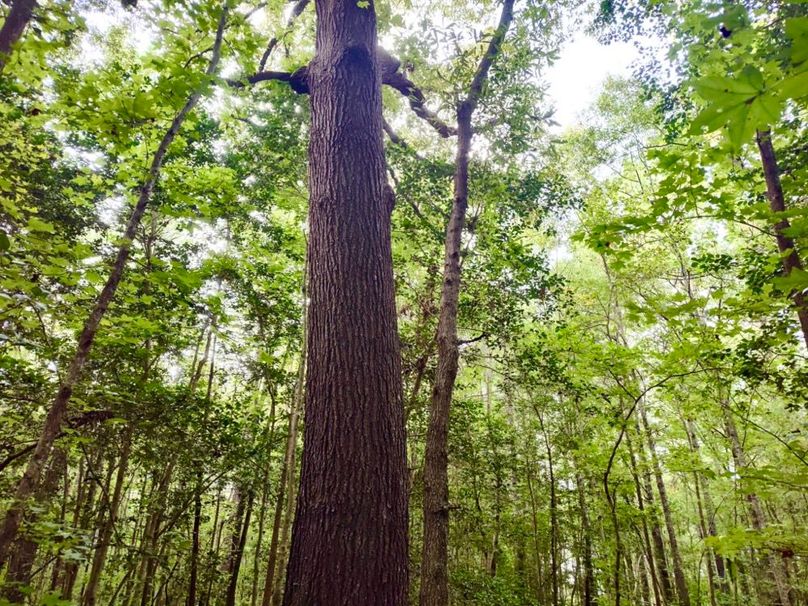 IMG_20250914_174247294_HDR