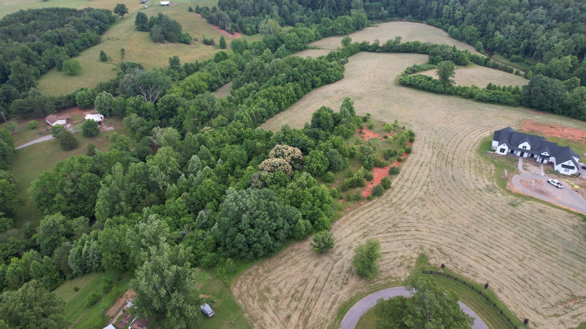 Expansive Lot With Great Blackwater River Frontage Whitetail Properties