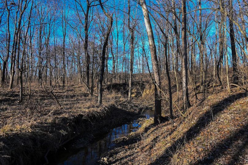 vandalia 450 (2)-2214