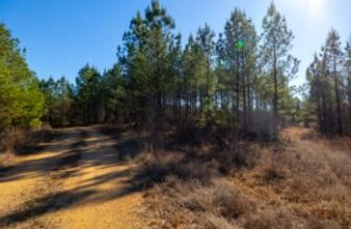 MCKINNON TRACT 29-01