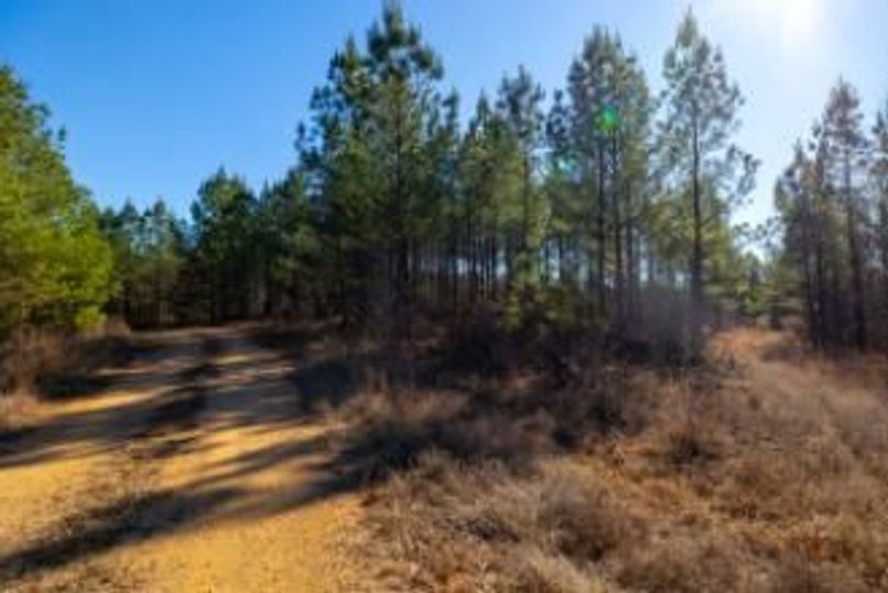 MCKINNON TRACT 29-01